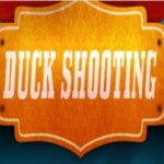 DuckShooting